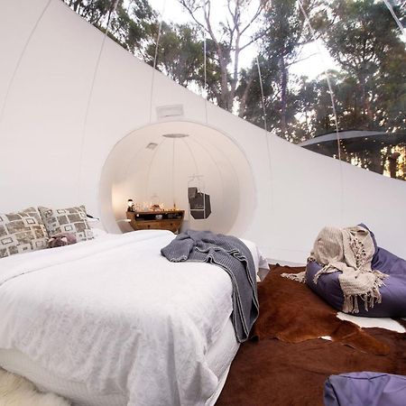 Skyview Bubbletent Eganstown Ngoại thất bức ảnh