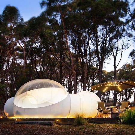 Skyview Bubbletent Eganstown Ngoại thất bức ảnh
